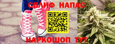 сатива Кулебаки